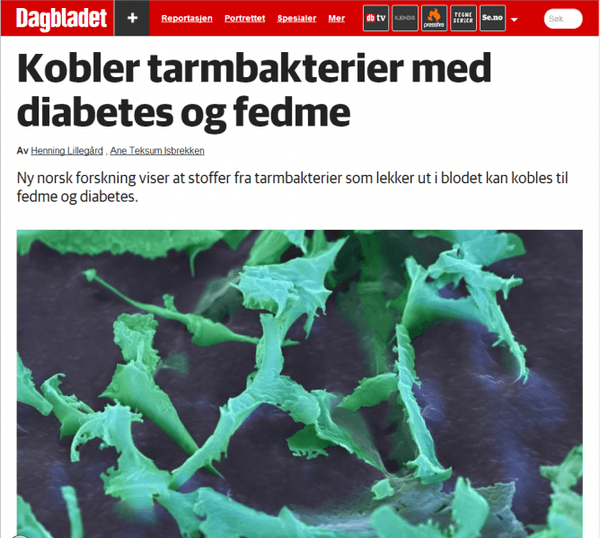 Avisartikkel ny forskning